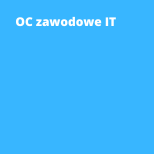 OC zawodowe it